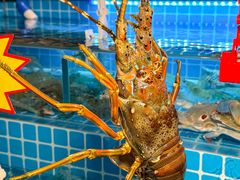 -汕头龙光喜来登酒店-采悦轩中餐厅