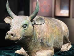 -宁夏博物馆