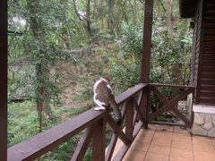 -兴福老面馆(寺路街店)