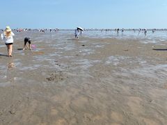 -奉贤海滩