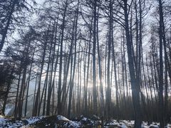 -硗碛藏寨·神木垒景区