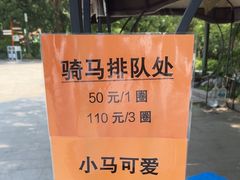 -杭州少年儿童公园