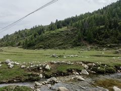 -芦芽山旅游度假区