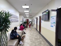 -美联众合动物医院·24h转诊中心