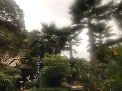-汇雅温泉