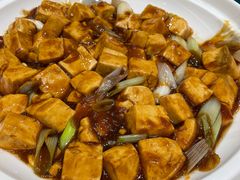 -丁老爷子苏香圆