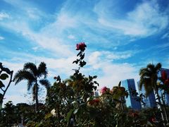 -文华公园(禅城区)