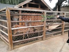 -静之湖湖畔餐厅