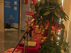 -尚荟汤泉生活馆