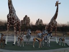 -北京野生动物园