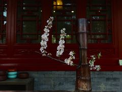 -大觉寺-停车场