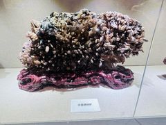 -陕西自然博物馆