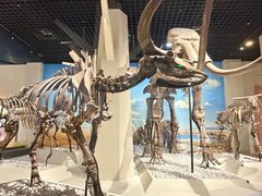 -国家自然博物馆