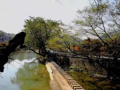 -溪口-滕头旅游景区