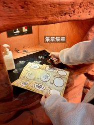 -Zoolung Zoolung动物主题公园(海信广场店)