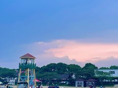 -碧海金沙