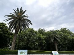 -南宁南湖公园