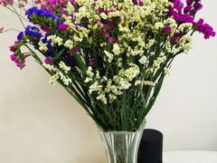 -GANSO元祖食品(锦创书城店)