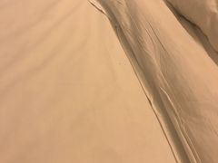 -7天连锁酒店(上海徐家汇龙华路地铁站店)