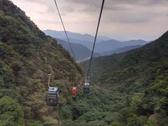 -王顺山国家森林公园