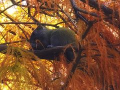 -白塘生态植物园