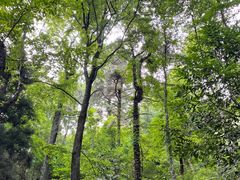 -南岳衡山风景名胜区