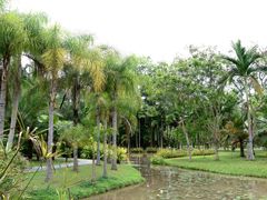 -中国科学院西双版纳热带植物园