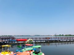 -鹅湖玫瑰文化园