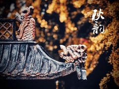 -法云安缦酒店