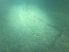 -白鹤梁水下博物馆