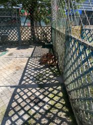 -萌宠亲子动物乐园(槐房万达店)