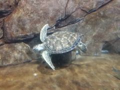 -福州罗源湾海洋世界旅游区