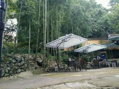 -藏龙百瀑风景区