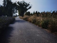 -嘉北郊野公园
