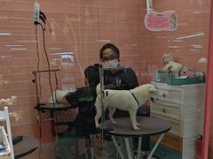 -FAELING PETS美天灵宠物(合生汇店)