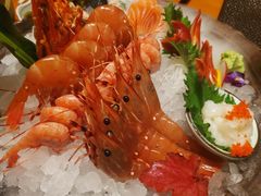 -月龍吟(朝龙汇店)