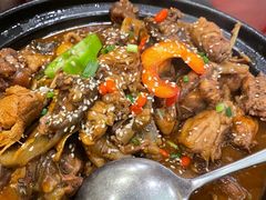 -火焰金龟甲(汉阳江滩旗舰店)
