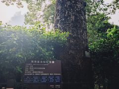 -黄埔古港