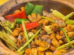 -天宝食坊·啫啫煲大排档(西华路店)