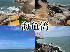 -广东惠东海龟国家级自然保护区