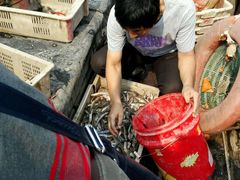 android_upload_pic-红星码头