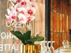 -VESH COFFEE(定西路店)