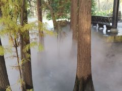 -东湖落雁景区