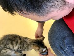 -芭比堂动物医院·犬猫全科·异宠专科(雁塔分院)