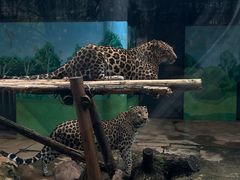 -昆明动物园