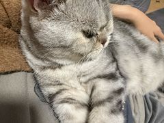 -纳吉亚猫专科动物医院博雅分院