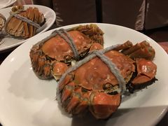 -香荟Aroma·外滩茂悦大酒店