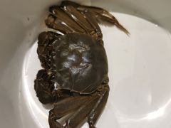 -川骄海鲜自助(河东店)