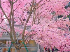 -首开·龙湖成都西宸天街