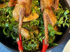 -弦月窗LUNETTE BY AMANDA(复兴路店)